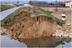 rottura rginale provocata dalle tane