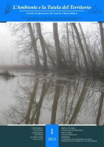 copertina2febbr_317x448