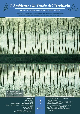 copertina2febbr_317x448