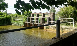 Ragnaione_27aprile2016