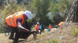 Migranti bonificatori