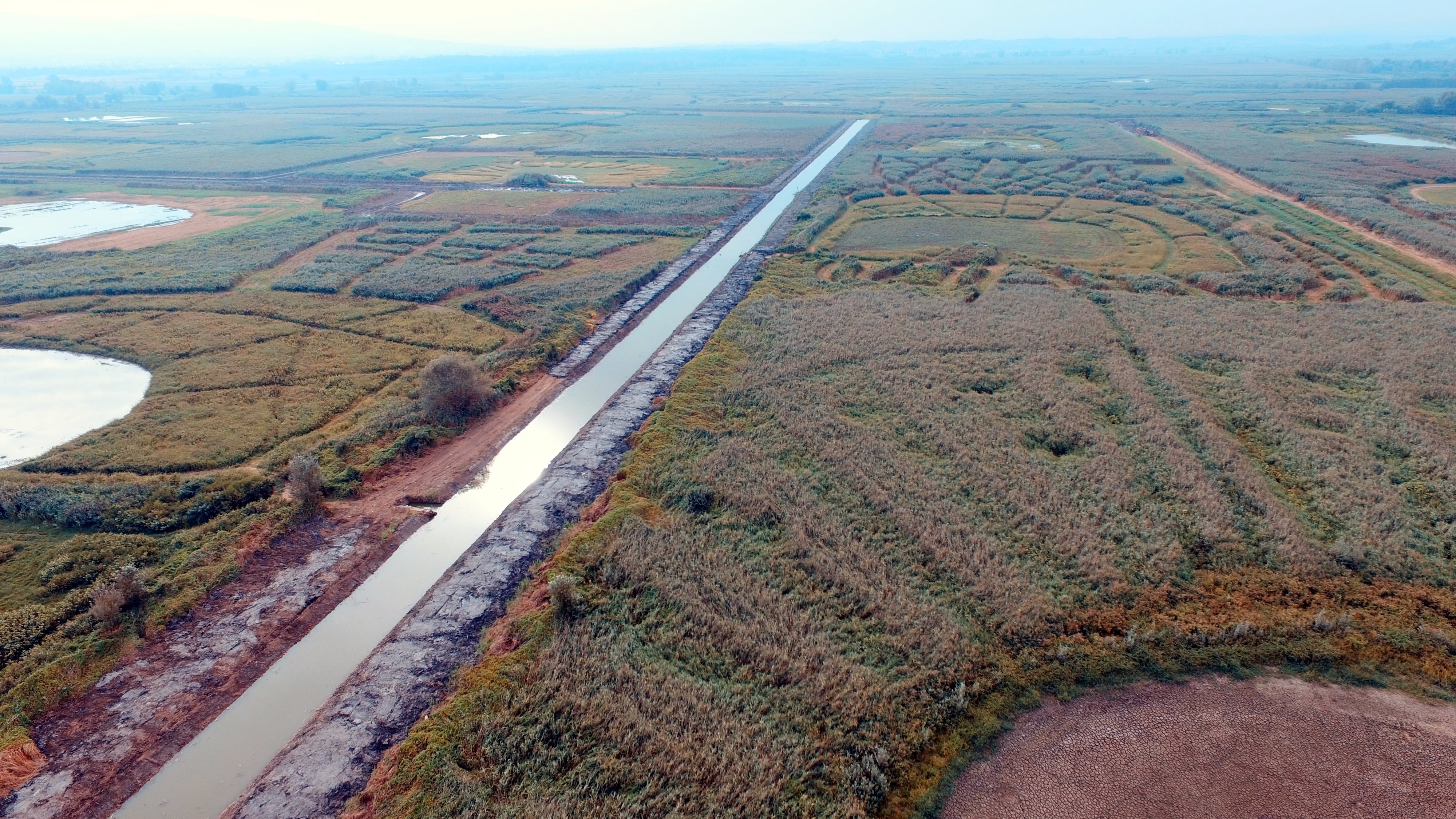 foto del volo Padule di Fucecchio – settembre 2018