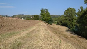 Zona Capraia Fiorentina sfalcio erba  2020