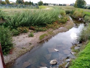 Pescia di Pescia a Pesciamorta1