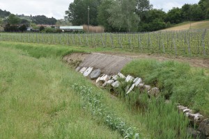 Il rio Ensi (o Enzi)