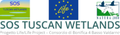 Tuscan Wetlands